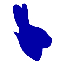 Nyúl